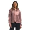 The North Face Mountain Sweatshirt Hoodie Womens (Past Season)