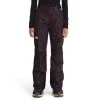 The North Face Freedom Insulated Pant Womens